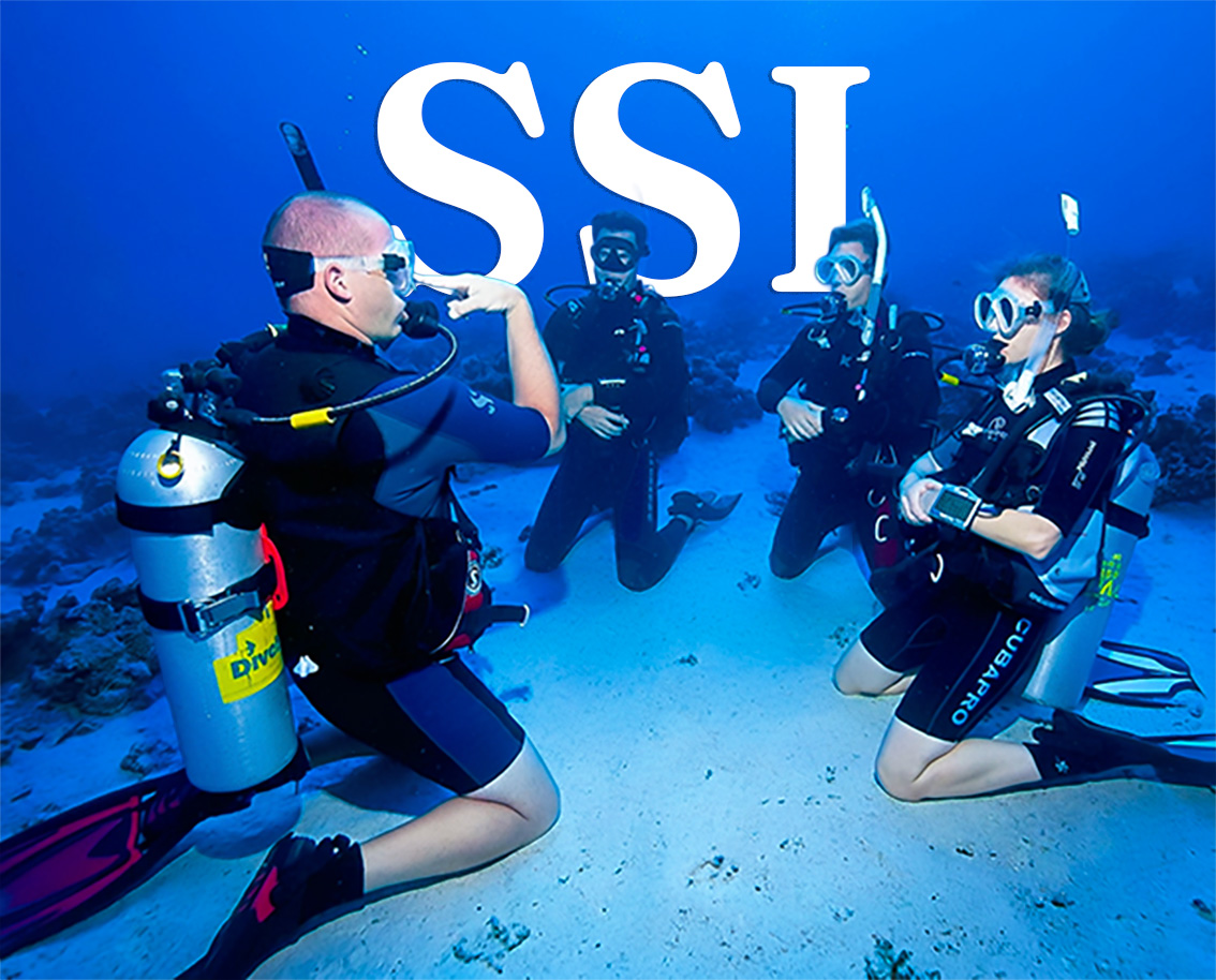 Cursos SSI