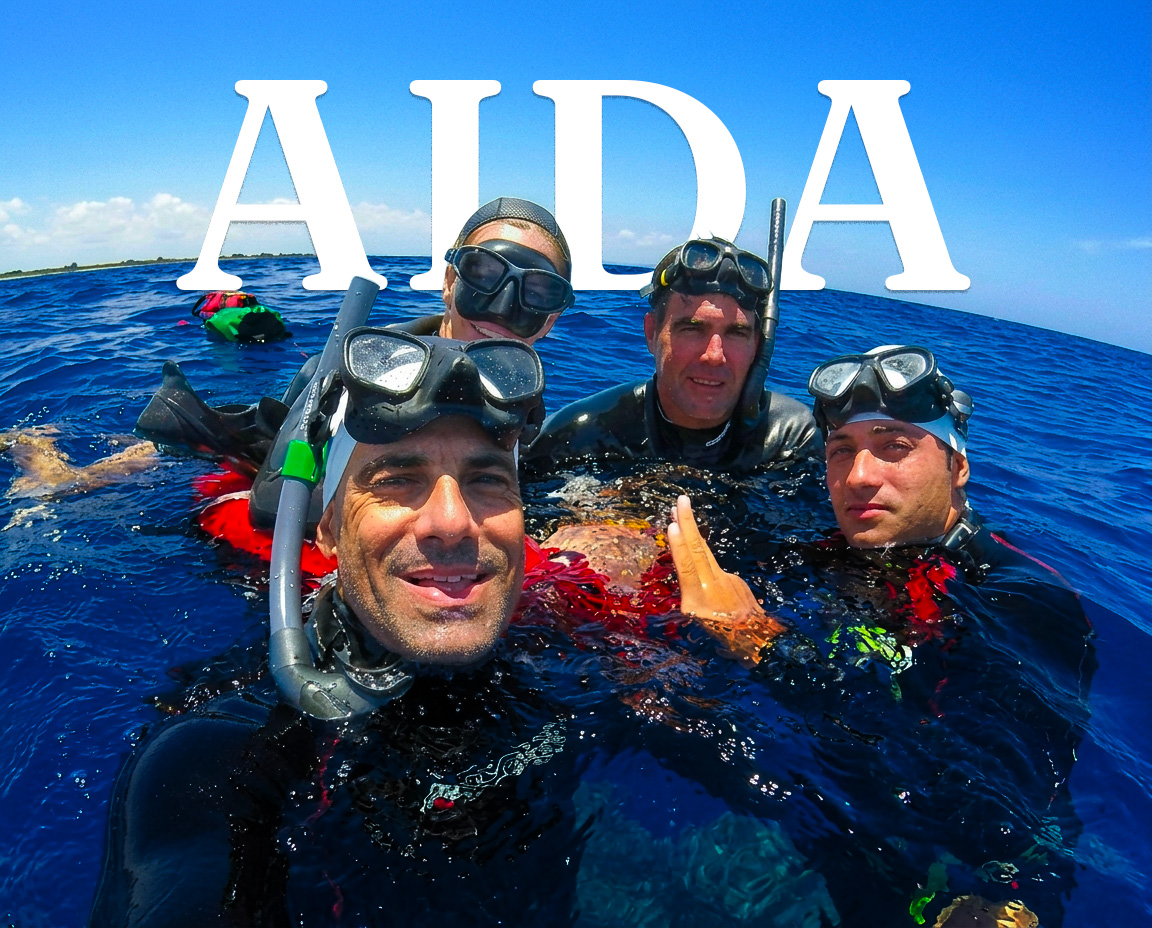 cursos AIDA